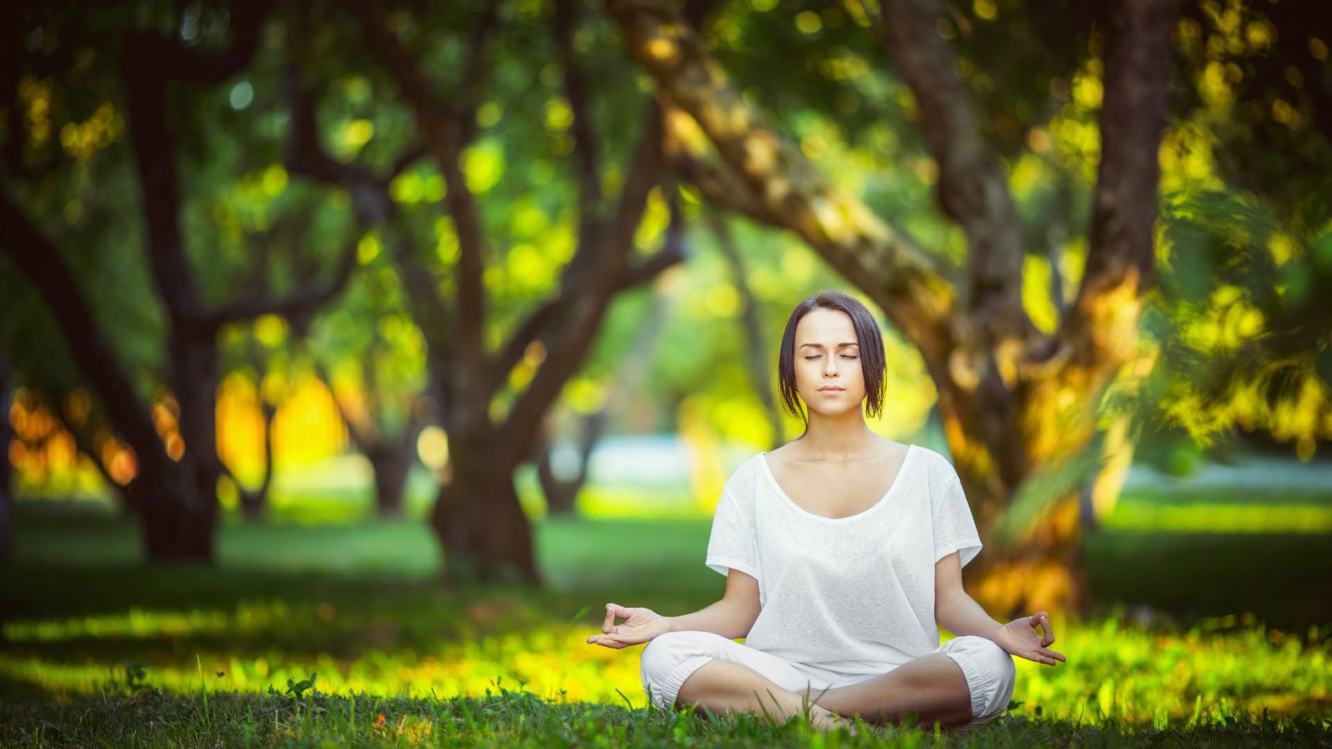 中国足球联赛球迷服务质量持续改善，中国足球的球迷们现在真的感到很迷茫面对这片绿茵场